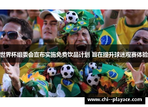 世界杯组委会宣布实施免费饮品计划 旨在提升球迷观赛体验