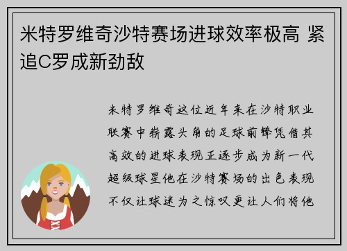 米特罗维奇沙特赛场进球效率极高 紧追C罗成新劲敌 米特罗维奇沙特赛场进球效率极高 紧追C罗成新劲敌